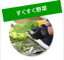 すくすく野菜｜一冨士フードサービス株式会社