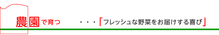 農園で育つ「フレッシュな野菜をお届けする喜び」