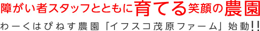 障がい者スタッフとともに育てる笑顔の農園