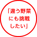 「違う野菜にも挑戦したい」