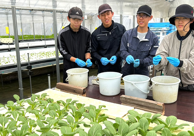 食材への理解と大切にする心の醸成